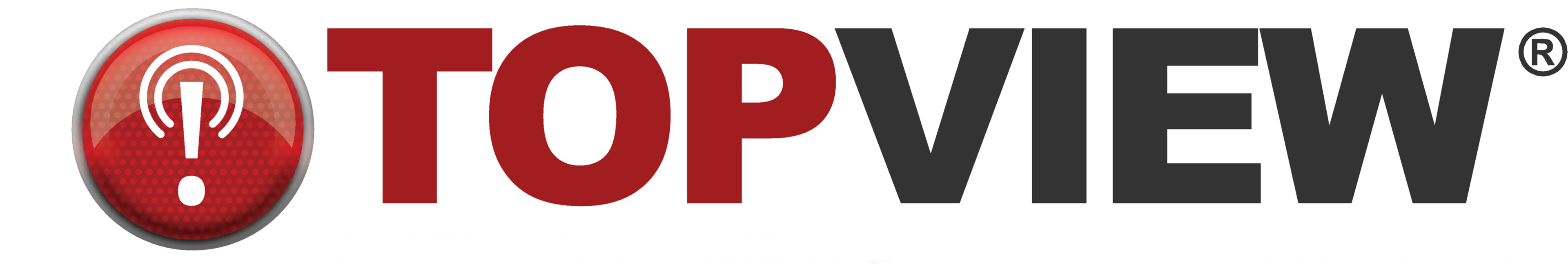 TopView Logo